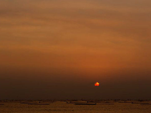 觀夕平台